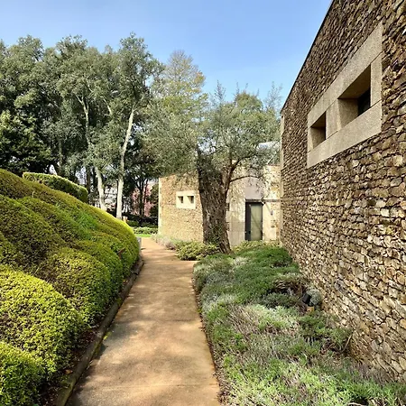 Bosque Da Harmonia * Arco de Baulhe
