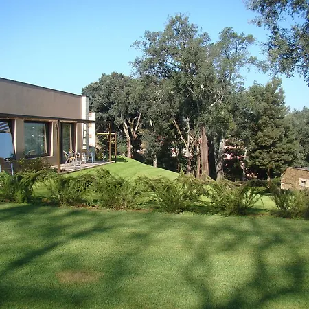 Bosque Da Harmonia Arco de Baulhe