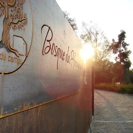 Bosque Da Harmonia