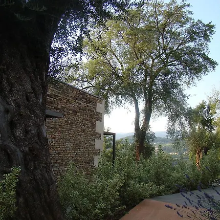 Bosque Da Harmonia Arco de Baulhe