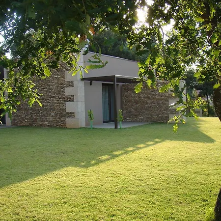 Bosque Da Harmonia Arco de Baúlhe