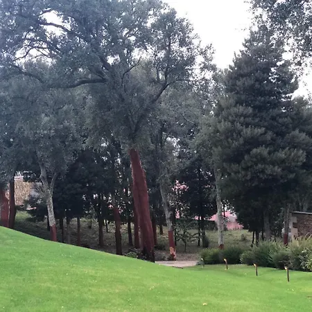 Bosque Da Harmonia