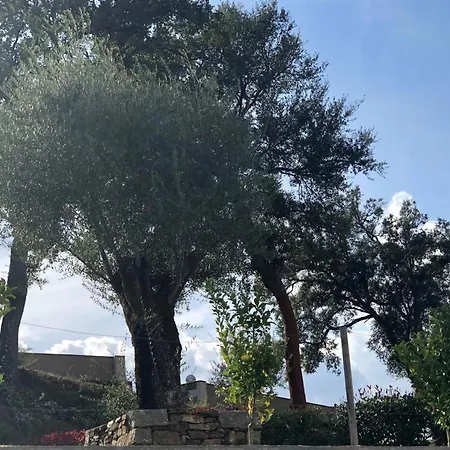 Bosque Da Harmonia Kır Evi