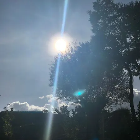 Bosque Da Harmonia Arco de Baulhe