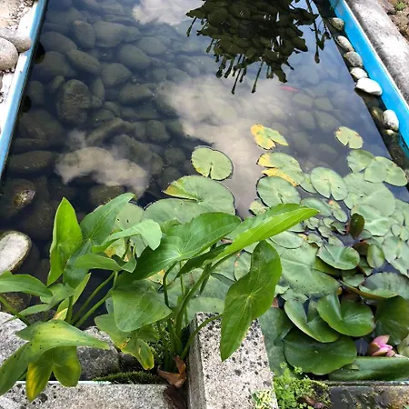 Kır Evi Bosque Da Harmonia