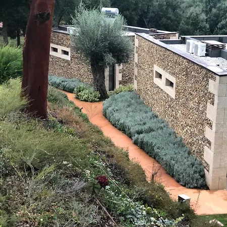 Bosque Da Harmonia *