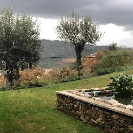 Bosque Da Harmonia *