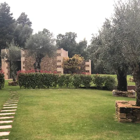 Bosque Da Harmonia * Arco de Baúlhe