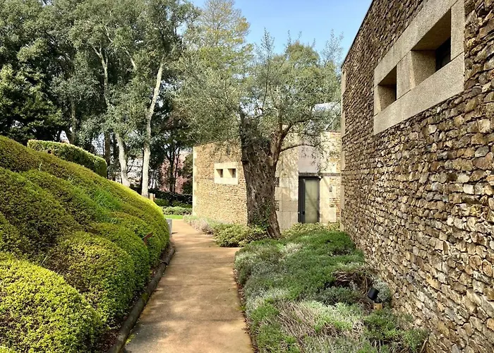 Bosque Da Harmonia * Arco de Baulhe