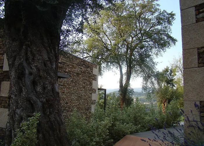 Bosque Da Harmonia Arco de Baulhe