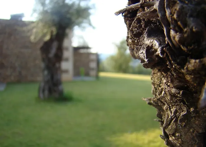 Hétvégi ház Bosque Da Harmonia