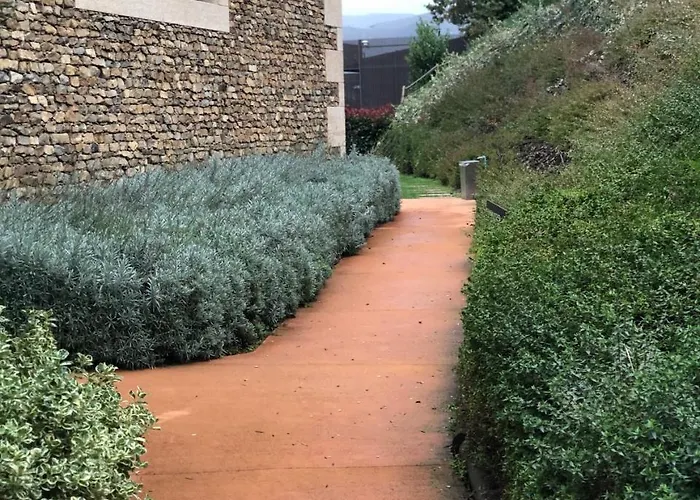 Bosque Da Harmonia * Arco de Baulhe