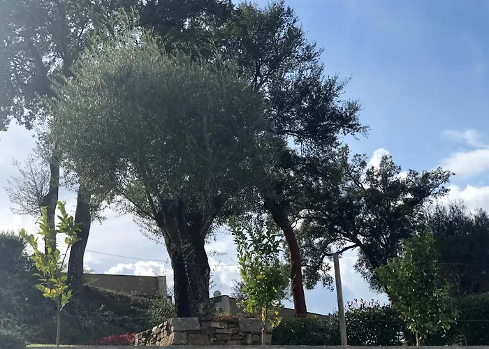 Bosque Da Harmonia Casa de Campo