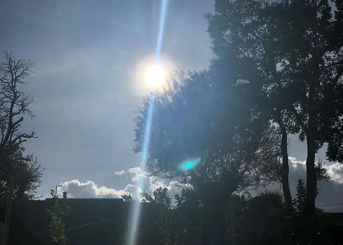 Bosque Da Harmonia Arco de Baúlhe