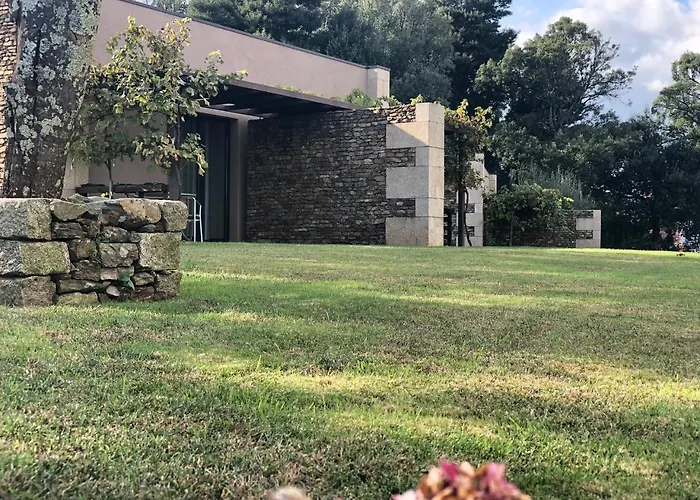 Bosque Da Harmonia *