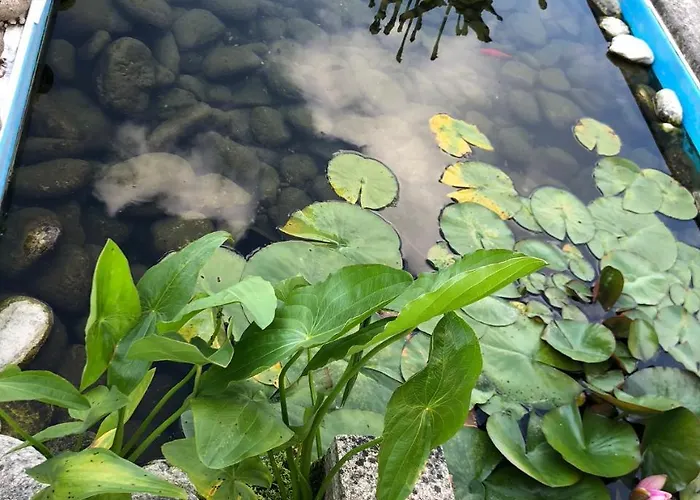 Casa de Campo Bosque Da Harmonia