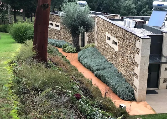 Bosque Da Harmonia *