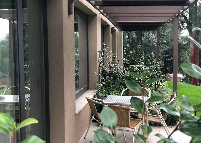 Bosque Da Harmonia Arco de Baulhe