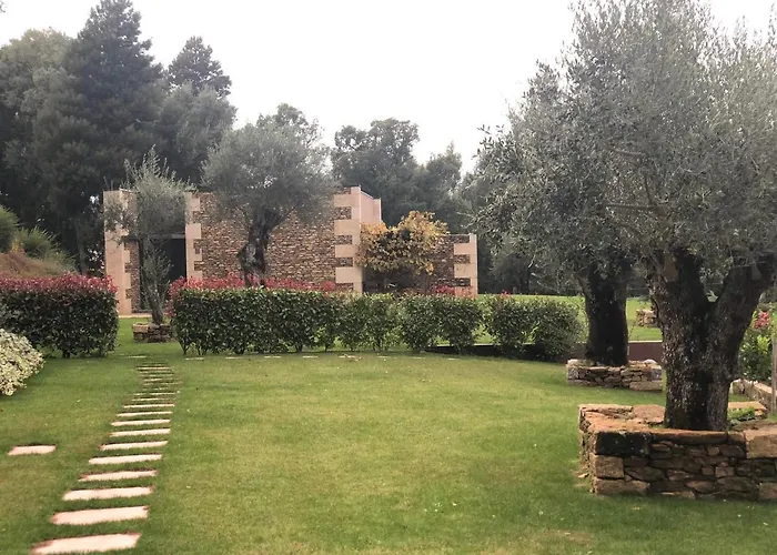 Bosque Da Harmonia * Arco de Baúlhe